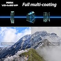 Pentax VD 4x20 WP Binoculars, Monoculars and Telescope — image 7