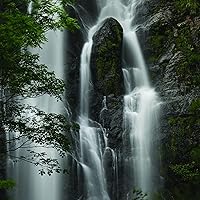 Nikon NIKKOR Z 100-400mm VR S Telephoto Lens — image 4