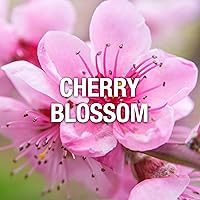 Giorgio Beverly Hills Red Perfume for Women 3.0 oz EDT Spray — image 4