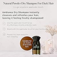 Ambiance Natural Dry Shampoo Powder & Brush for Dark Hair - Brunette Tinted — image 4