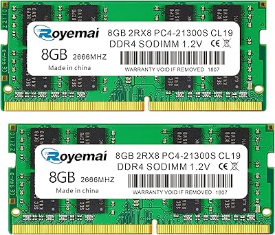 D DUOMEIQI 16GB DDR4 2666MHz SODIMM RAM
