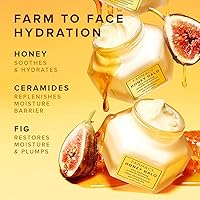 Farmacy Honey Halo Hydrating Face Moisturizer 100ml — image 5
