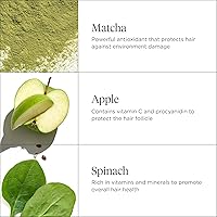Briogeo Superfoods Matcha + Apple Replenishing Shampoo 14.4oz — image 3