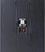 BIC America RTR-1530 15-Inch 3-Way Floor Standing Speaker — image 4