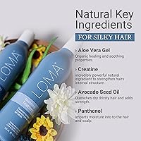 Loma Hair Care Moisturizing Shampoo & Treatment Duo — image 4
