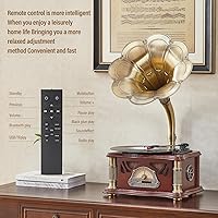 HZLSBL Vintage Gramophone with Bluetooth Output — image 2