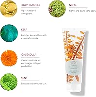 100% Pure Kelp & Mint Volumizing Conditioner 8 Fl Oz — image 3