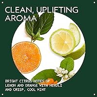 Aveda Scalp Solutions Balancing Shampoo 8.15oz — image 3