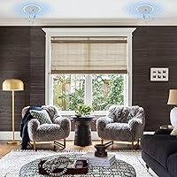 Herdio HCS818 6.5-Inch Passive Ceiling Speakers — image 5