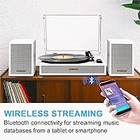 TANLANIN TE-2028WT Turntable — image 2