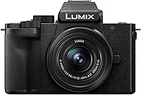 Panasonic LUMIX G100 Mirrorless Camera — image 1