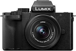 Panasonic LUMIX G100 Mirrorless Camera Review