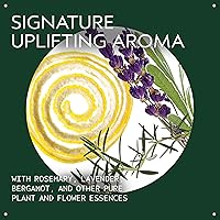 Aveda Beautifying Composition Oil 50mL — image 3