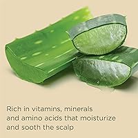 Hairitage Gentle Daily Moisture Shampoo and Conditioner Set - 21oz — image 5