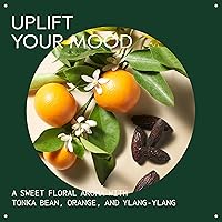 Aveda Cherry Almond Softening Conditioner 7.94oz — image 3