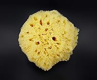Constantia Man Real Sea Sponge for Men - Extra Large 6″-7″ — image 9