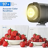 NEEWER 100W LED Video Light CB100 — image 3