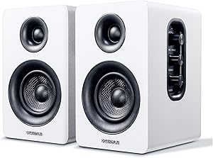 Sanyun SW208 Bookshelf Speakers Review