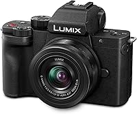Panasonic LUMIX G100 Mirrorless Camera — image 2