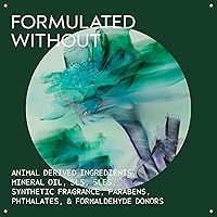 Aveda Witch Hazel Light Hold Hair Spray, 8.5oz — image 3