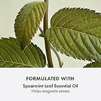 Origins Checks and Balances Frothy Face Wash 8.27oz — image 5