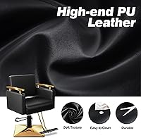 Baasha Black and Gold Salon Chair — image 9