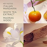 Elizabeth Arden White Tea Women's Cream Deodorant 1.5 Oz — image 3