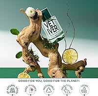 Solinotes Vetiver Eau de Parfum for Men 50mL — image 5