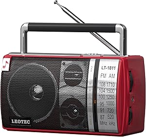 LEOTEC Portable Bluetooth Radio Review