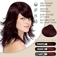 iemokoda Deep Burgundy Hair Dye Shampoo, 500mL — image 2
