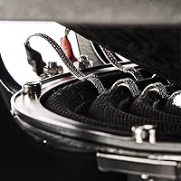 NVX VCW84v3 8-inch 1300W Dual 4-Ohm Car Subwoofer — image 8