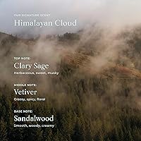 SHAZ & KIKS Ultra Hydrating Turmeric Shampoo 90mL — image 8