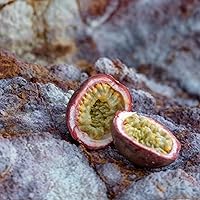 KORRES In-Shower Oil Body Serum, Golden Passion Fruit, 8.45oz — image 3