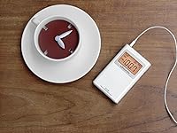 Sangean DT-160 AM/FM Stereo Pocket Radio — image 3