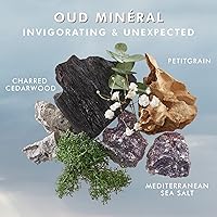 Moroccanoil Shower Gel Body Wash 11.39oz — image 3