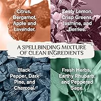 Every Man Jack Harry Potter Collectors Body Wash Gift Set — image 7