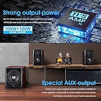 Douk Audio ST-01 PRO Bluetooth Vacuum Tube Amplifier — image 4