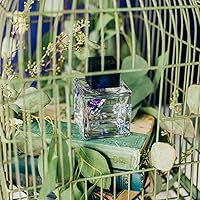 LOLLIA Imagine Eau de Parfum, 3.4 oz — image 6