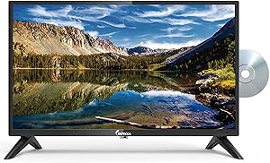 Impecca 24-Inch LED TV with Built-In DVD Player