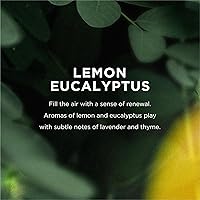 EO Liquid Hand Soap Refill, Lemon and Eucalyptus, 1 Gallon — image 4