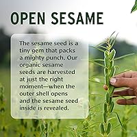 Banyan Botanicals Sesame Oil 16oz — image 2