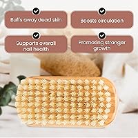 SHASH Boar Bristle Nail Brush - Olive Wood — image 4