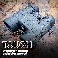 Nikon PROSTAFF P3 8x30 Binocular — image 7