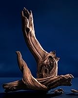 RALPH LAUREN Polo 67 Eau de Parfum 125mL — image 4