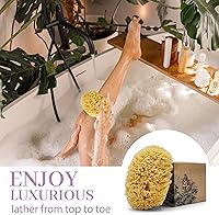 Baudelaire Sea Wool Sponge 5.5″ — image 3