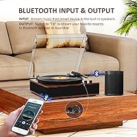 DANFI AUDIO DF TE-3008 Bluetooth Turntable — image 2