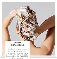 Zents Balancing Shampoo 10 fl oz — image 2