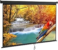 Saicool 100-inch 16:9 HD Portable Manual Pull Down Projector Screen — image 1