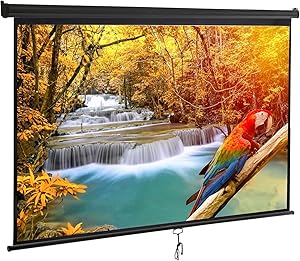 Saicool 100-inch 16:9 HD Portable Manual Pull Down Projector Screen Review