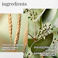 Pureology Hydrate Sheer Nourishing Conditioner 8.5oz — image 4